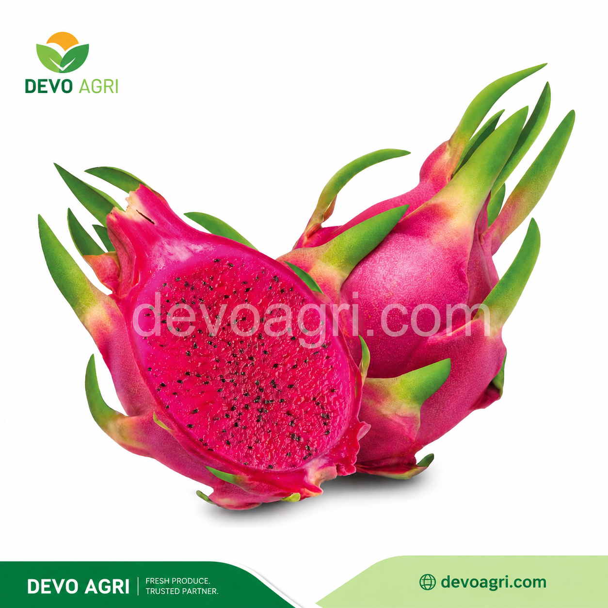DEVO Agri đạt chứng nhận GlobalGAP cho 5 loại trái cây xuất khẩu chủ lực