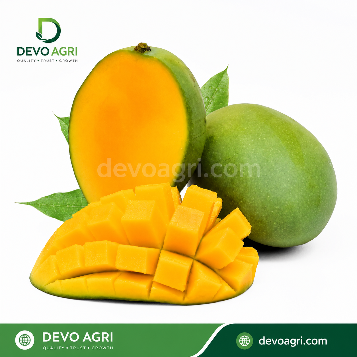 DEVO Agri xuất khẩu thành công lô Xoài Cát Chu đầu tiên sang Nhật Bản